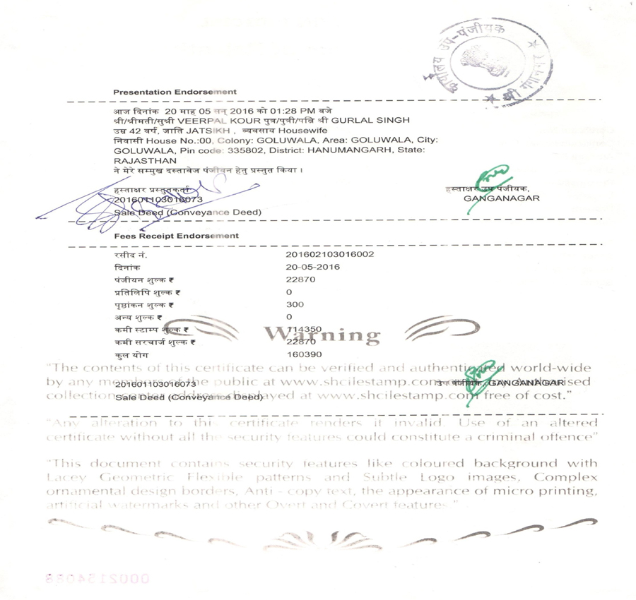 Document page 15