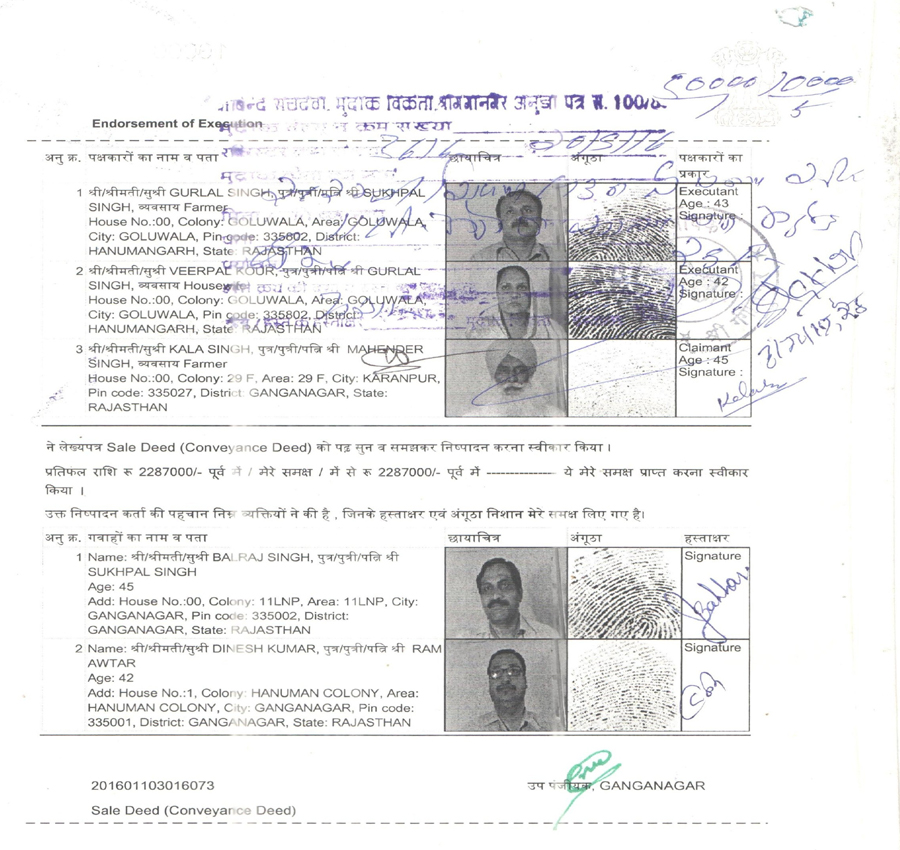 Document page 19