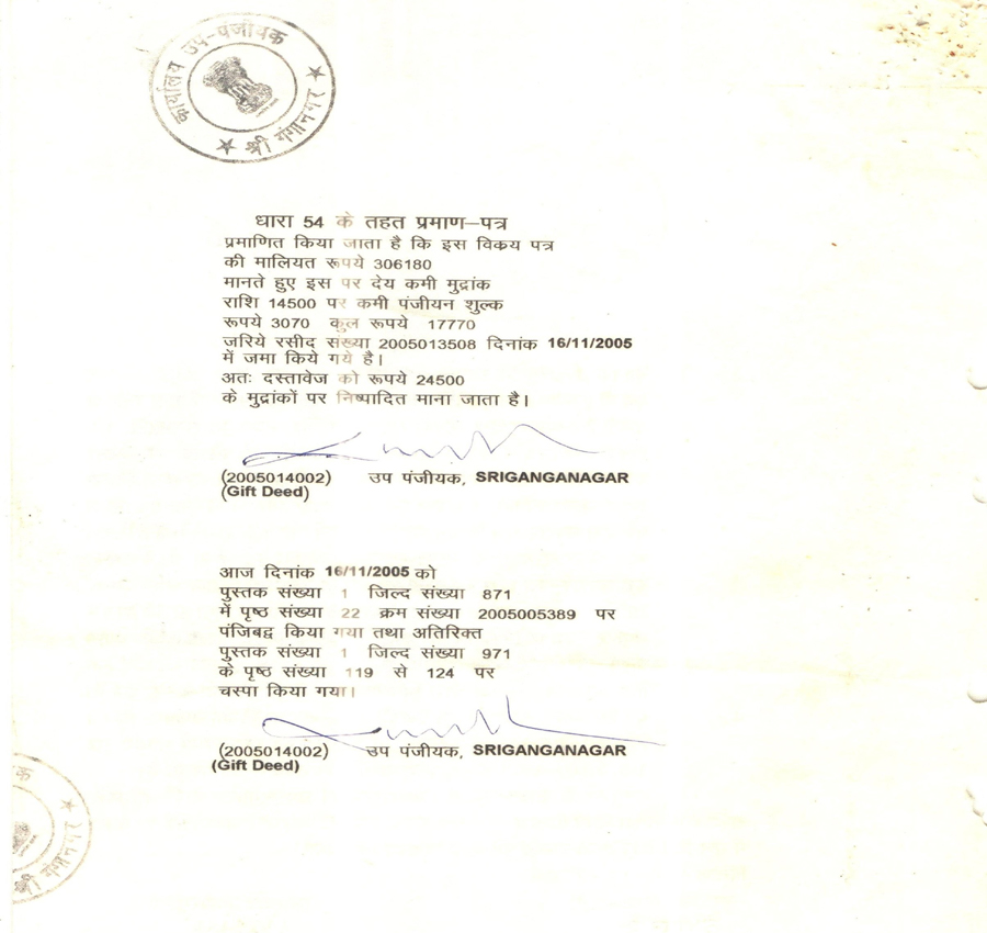 Document page 7