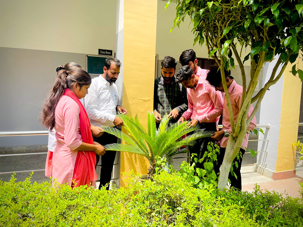 Botany Laboratory