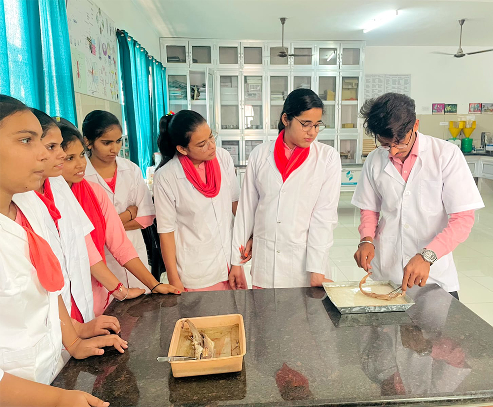 zoology Laboratory